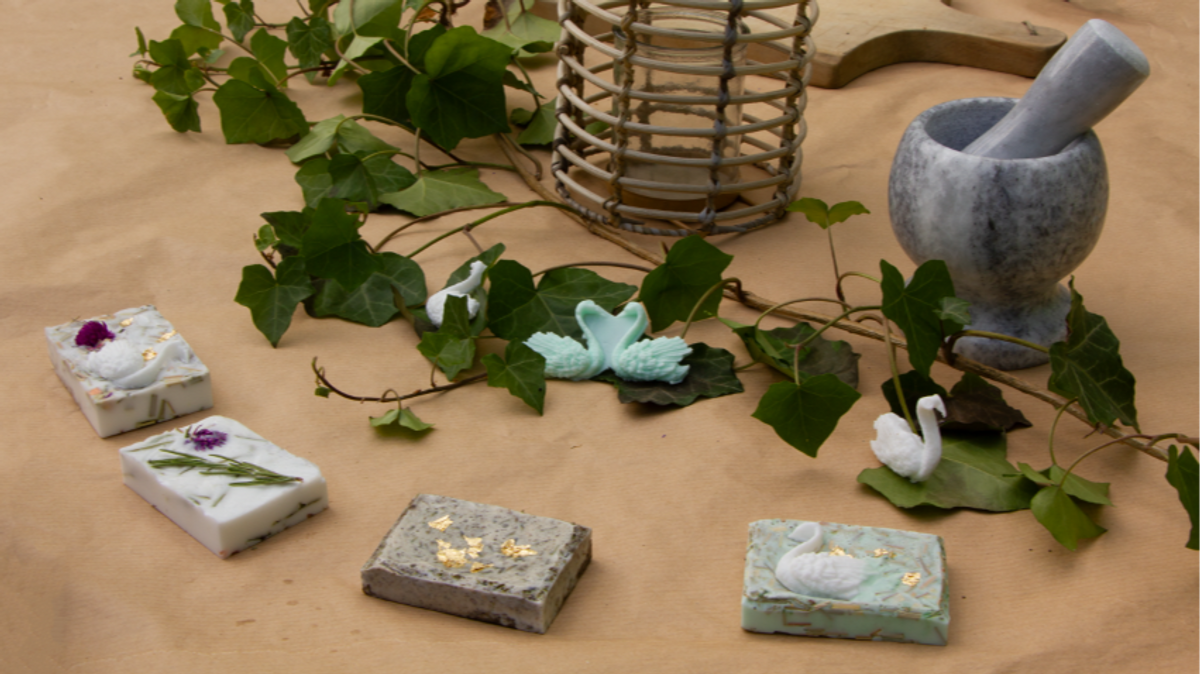 Naturseifen-Workshop im Schlosspalais N°1 Garten