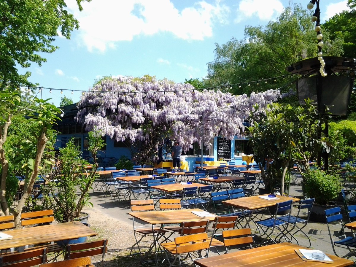 Schwimmbad Rhein-Sommergarten