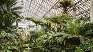 Vinyasa Flow @Greenhouse Elsäßer