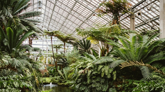 Yoga & Pilates @Greenhouse Elsäßer