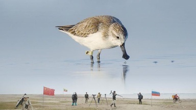 Saving Spoonie