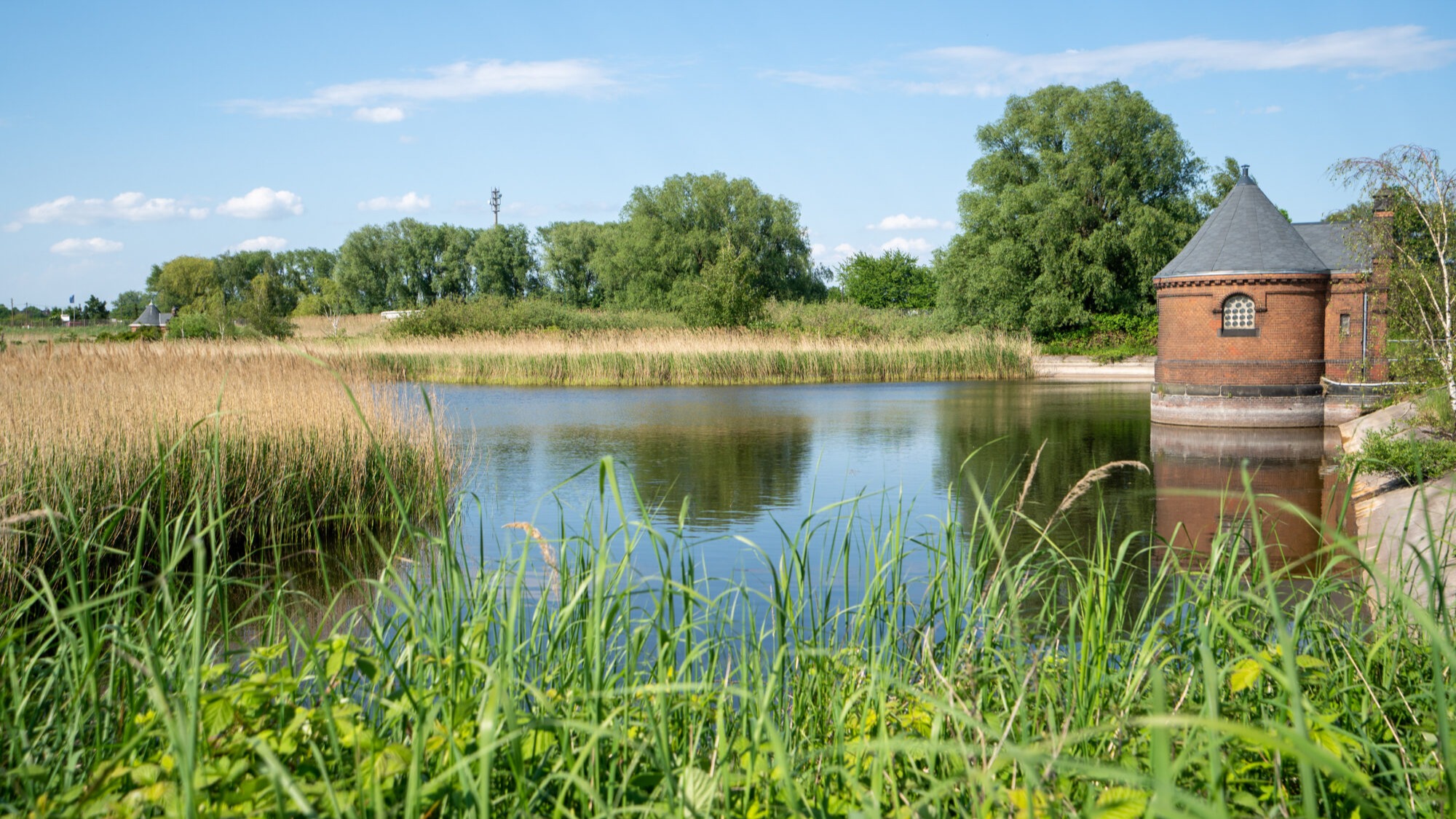 Vom Wasserwerk zum Naturraum