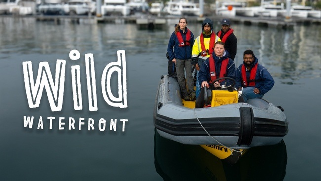 Filmfest Bremen : WILD WATERFRONT (Gateways to the World / Global Lokal)