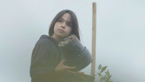 Blueberry Dreams (DOK Leipzig Sommerkino)