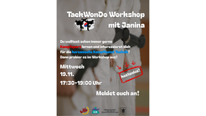 Taekwondo Schnupperkurs für 12-19 Jährige