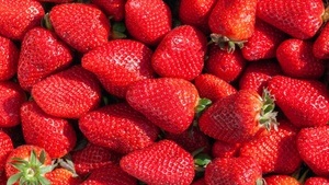 Single Pflücken "Beeren zum Verlieben"