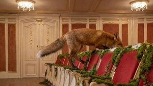 Das schlaue Füchslein