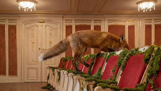 Das schlaue Füchslein