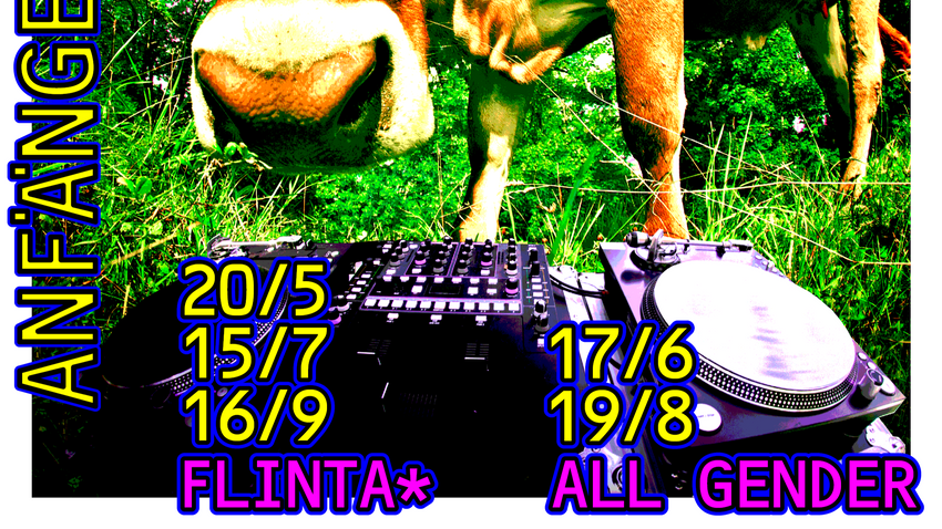 DJ Workshop / flinta* only / Anfängerinnen