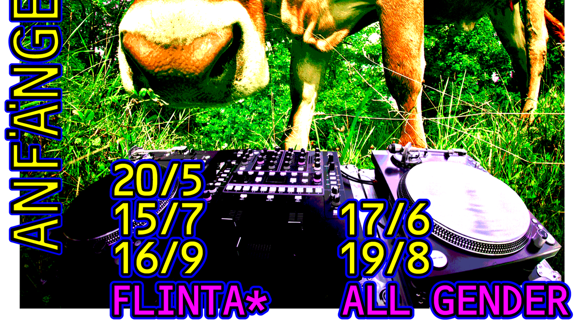 DJ Workshop / flinta* only / Anfängerinnen