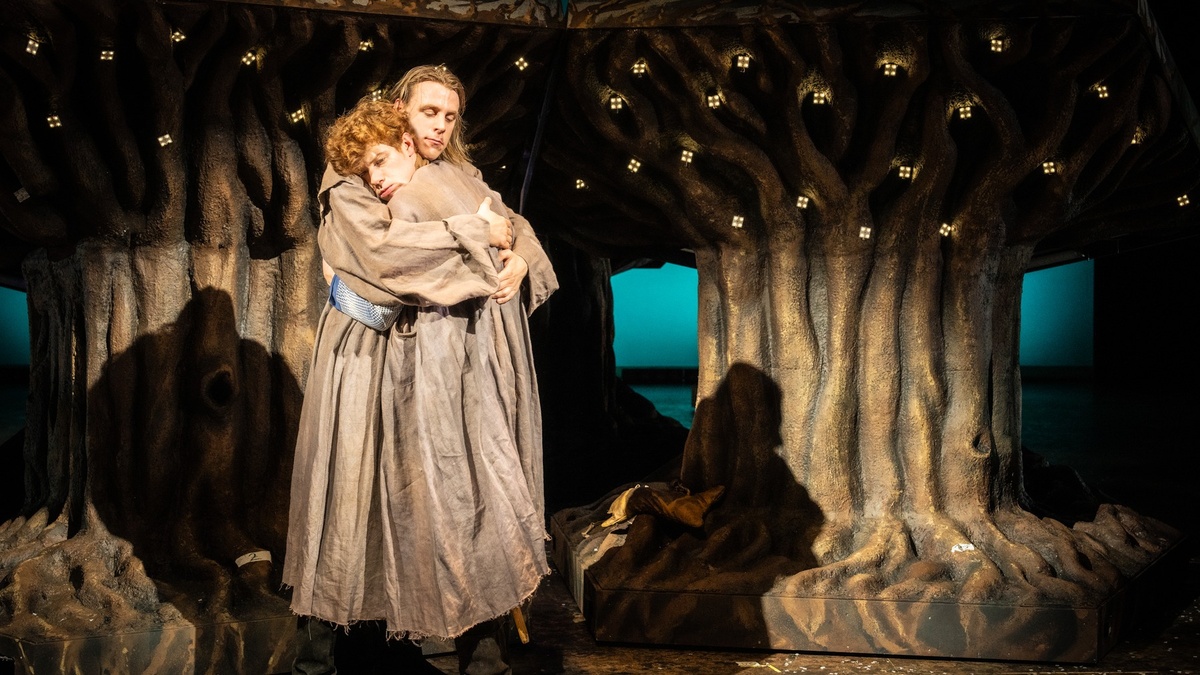 DIE BRÜDER LÖWENHERZ