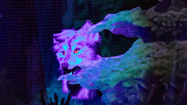 Wolf