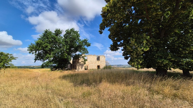 Wanderung: Von Balgstädt zum Hirschrodaer Graben