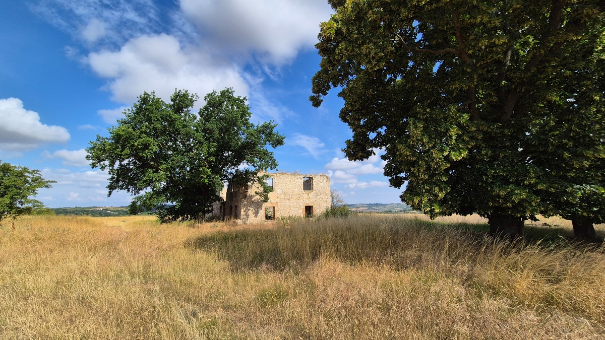 Wanderung: Von Balgstädt zum Hirschrodaer Graben