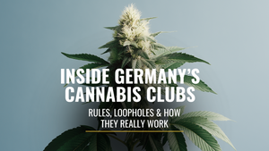 Inside Germany’s Cannabis Clubs
