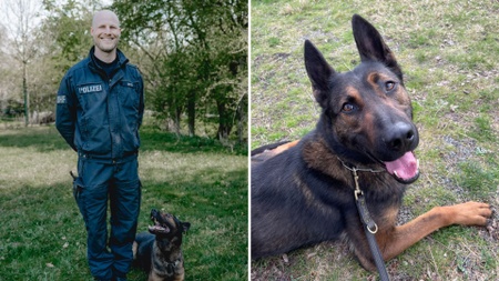 Juhuuu, Besuch! Kinder fragen Polizist Stefan Berger mit Hund Bruno