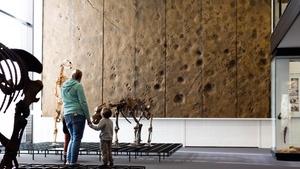 Familien*Workshop  "Spurensuche: Tiere der Eiszeit"