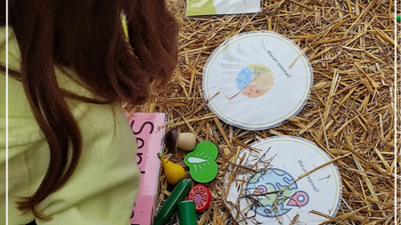 Ferien-Workshop: Das Klima ist, was du isst! – Entdecke die Welt der nachhaltigen Ernährung 2026