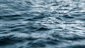 Schwimmen/  /42