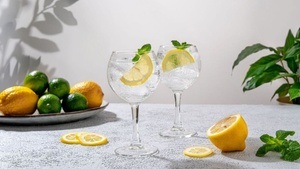 Garden Cocktails - Vom Balkon an die Bar