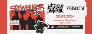 KONZERT: SKYWALKER