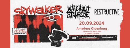 KONZERT: SKYWALKER