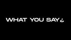 WHAT YOU SAY¿