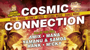 Cosmic Connection | Basement