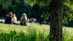 Klenzepark