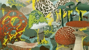 Zukunft wächst von unten - Praxisworkshop zur theaterpädagogischen Umweltbildung