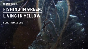 FISHING IN GREEN, LIVING IN YELLOW