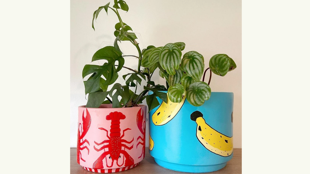 Plant a seed and paint the pot