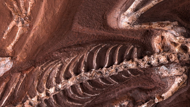 Abraham Gottlob Werner und seine mineralogische Sammlung