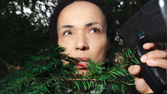 Wem gehört das Volk?