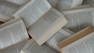 30. Literaturtage Bielefeld