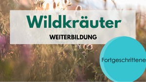 Wildkräuter für Fortgeschrittene - Weiterbildung
