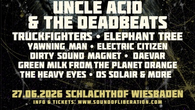 SOL Sonic Ride Wiesbaden