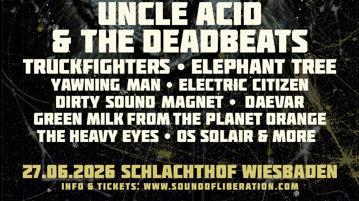 SOL Sonic Ride Wiesbaden