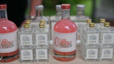 DFD Festival 2026: Kö 1 Gin