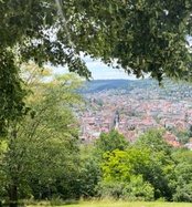 Aussichtsterrasse am Teehaus