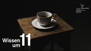 Wissen um 11: Vom Reden in Metaphern