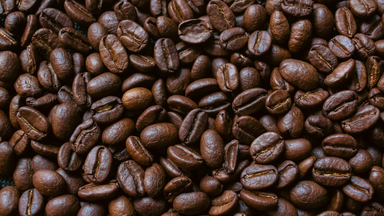 Walk & Talk: dem fairen Kaffee auf der Spur