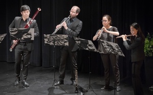 "Kaiserliche Harmonien" mit dem c/o chamber orchestra