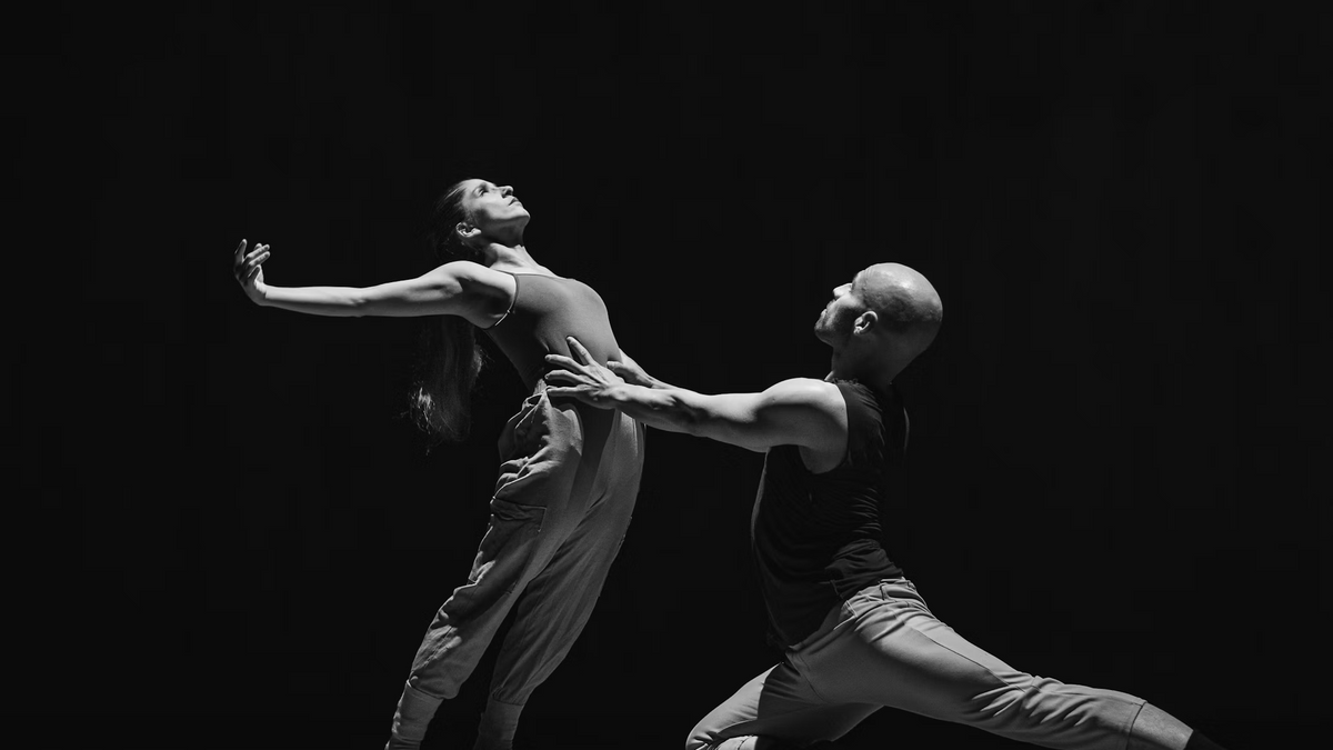Vienna International Dance Festival