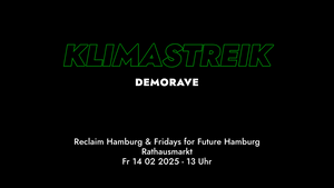 Klimastreik - Demorave-Block