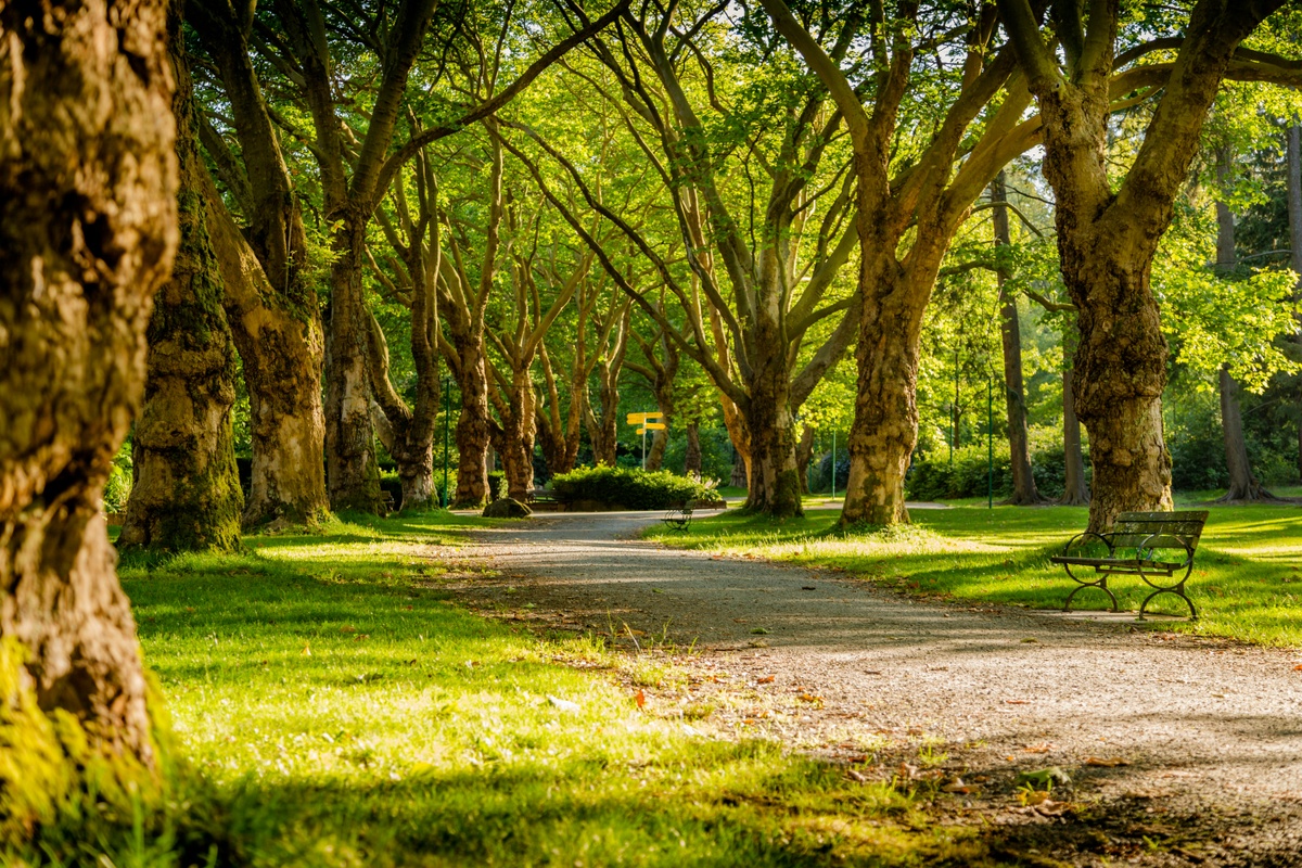 Friedenspark Leipzig