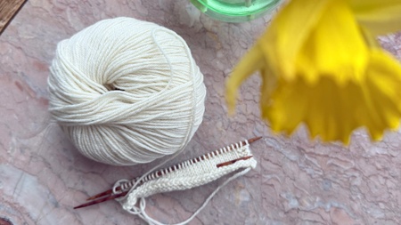 Workshop Strickbasics 1.0