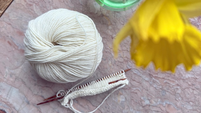 Workshop Strickbasics 1.0
