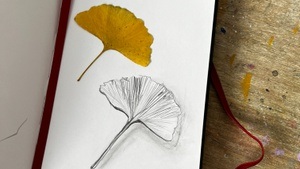 Zeichnen in der Flora