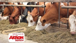 Partizipationsfreizeit für Kinder (7-9 Jahre) - Ferienfreizeit auf dem Bauernhof